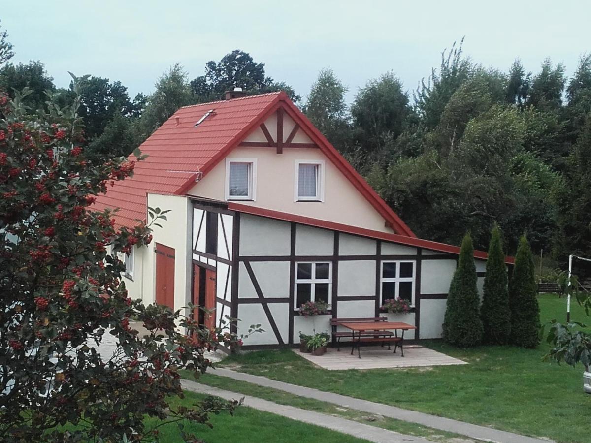 Agroturystyka Pod Kogutkiem Czysta Ngoại thất bức ảnh