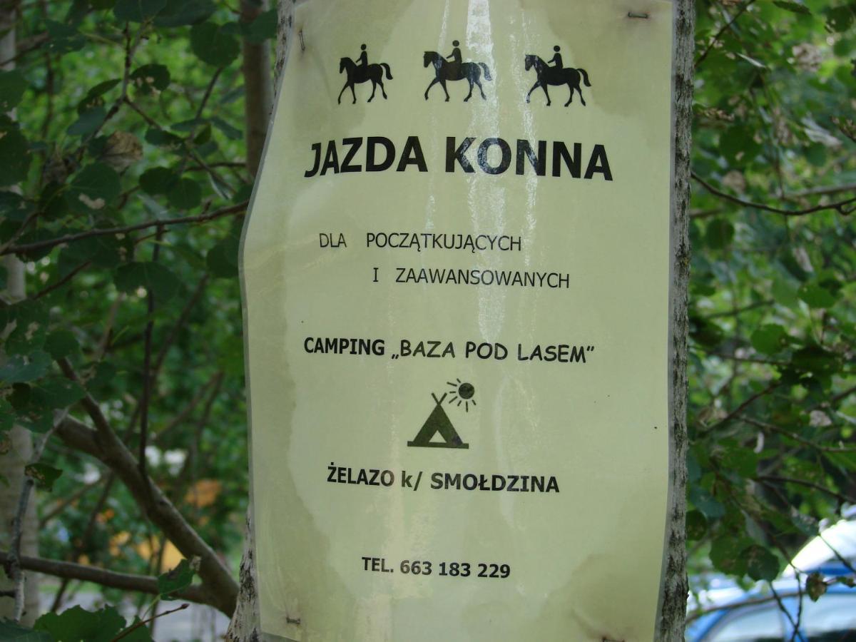 Agroturystyka Pod Kogutkiem Czysta Ngoại thất bức ảnh