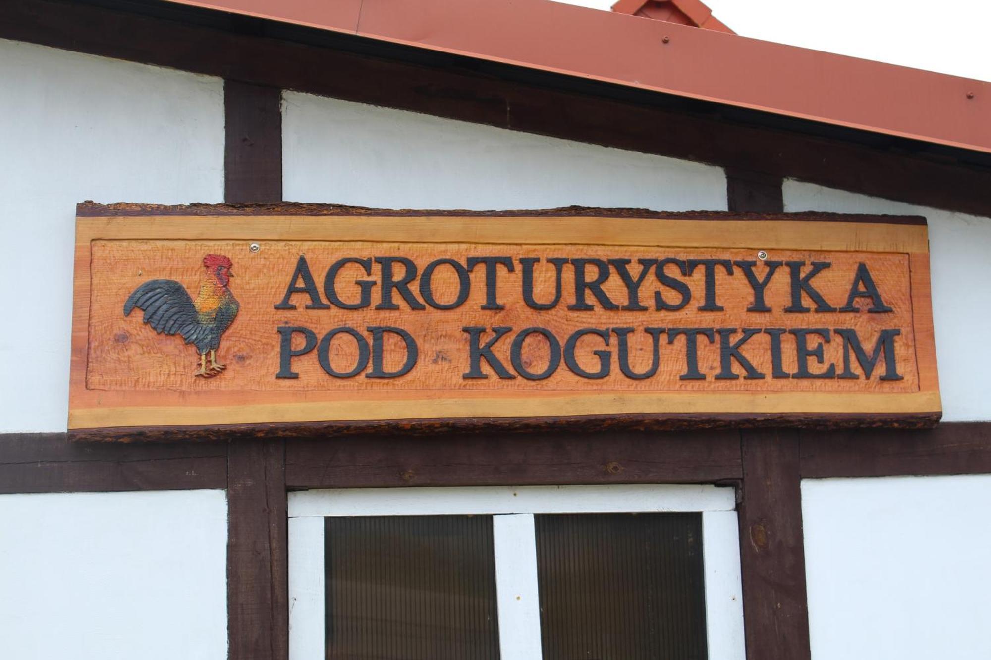 Agroturystyka Pod Kogutkiem Czysta Ngoại thất bức ảnh